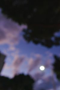 Fake Moon
