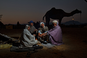Camel Herders
