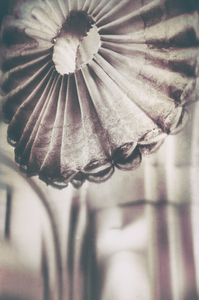 untitled from the series "Waiting for the Awakening"