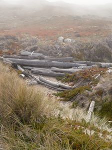 Point Reyes 6