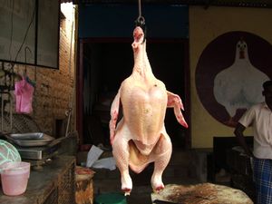 Chicken for sale, west of Madurai, Tamil Nadu, 2010.