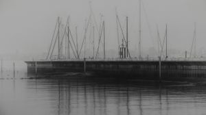 Harbor