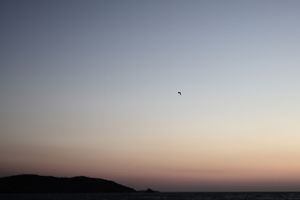 second morning #13