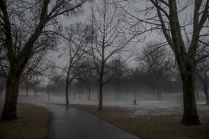 February Fog