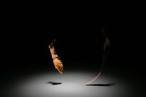 Libretto of Ballet (series)