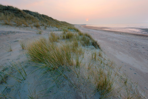 Dunelands V