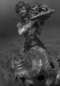 © Kristin Lau
