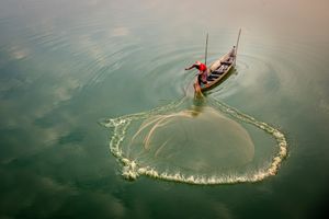 Myanmar Fisherman
