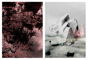 Dissociated #11