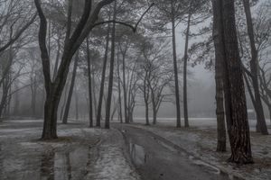 February Fog