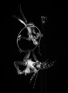 Aerial Art - Elegance - Lucioza
