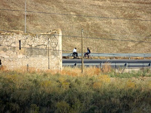 Asylum seekers