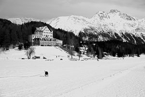 Radiography of a journey. Bernina Express from Tirano to St. Moritz