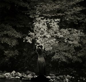 Soul of a tree