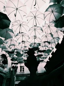 Umbrella Sky Project 7