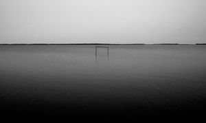 Beside the water II