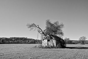 7- Traces