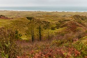 Dunes de Biville-sur-mer, Cotentin