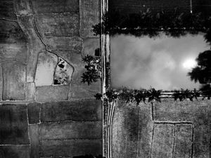 Rice plants Preparation for plantings (Aerial Picture)