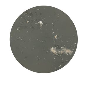 Auric Object 3, 2013; unique silver gelatin print mounted to anodized aluminum; 16 in. diameter © DM Witman