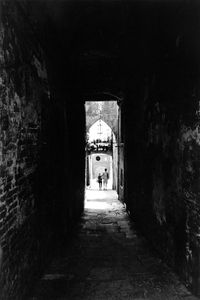 Siena #1