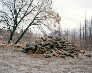 Felled