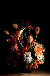© Kathryn Jago