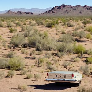 DIXIE, LUPTON, ARIZONA