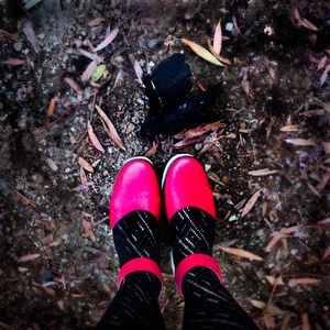 Red Shoes