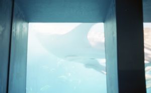 the impression under the ocean above the sun