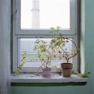 Remnants of hope