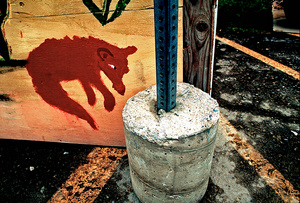 Urban Safari/Fox Attack