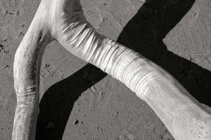 Wrinkles