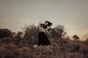 The Collector