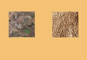 Earth Herbarium, Part III © Evgeny Molodtsov