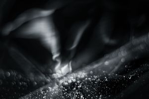 Untitled #39