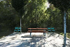 Garden in the woods