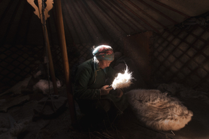 Mongolian cashmere