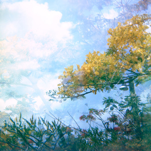 Untitled, from the "when the evidence of our tears were reborn as..." series