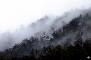 Hills where clouds are borne