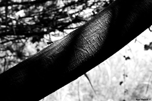 A day by the river 11