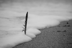 © Carolyn Meltzer