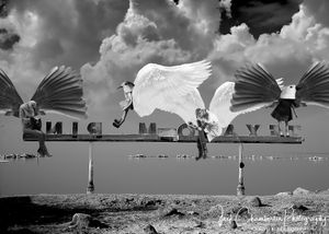 The Birds of the Salton Sea