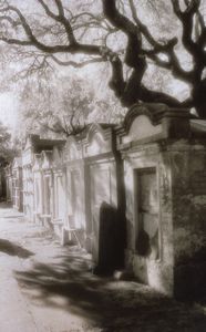 Lafayette, tombs with oak