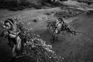Branches for the circumcision are brought from the forest near by. © Meeri Koutaniemi