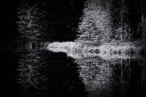 Lights and shadow at the tarn lake