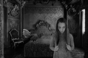 The French Bedroom