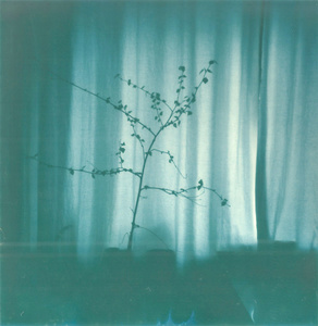 Untitled, Sehnzucht, 2015-2016