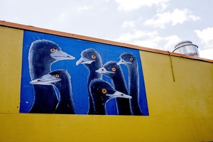 Street Art/Portland Gooney Birds Contemplating Flight