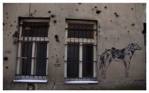 2015 is the 20th anniversary of the finish of the siege of Sarajevo, which marked the beginning of the Bosnian War (1992-1995). During the war, approximately 30,000 Bosnians were massacred by the Serbian Army in the first act of genocide on European soil since the Holocaust.